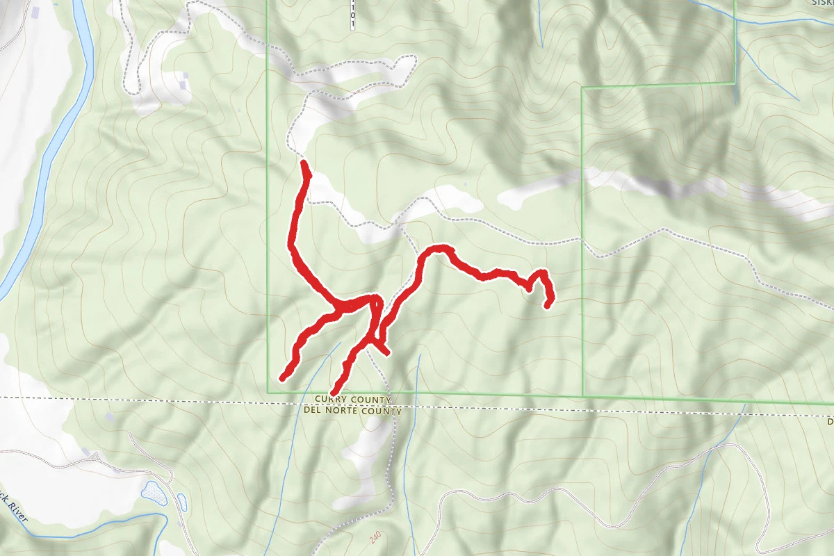 Brooks Old Logging Trail
