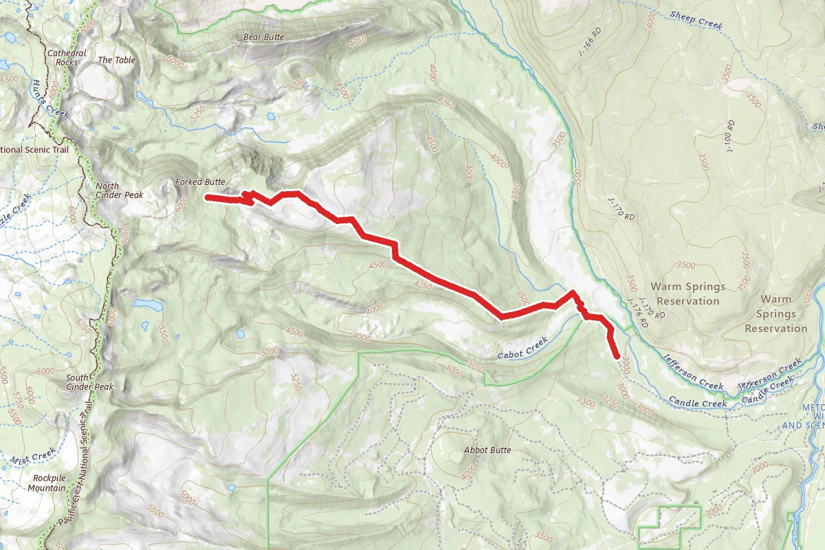 Sugar Pine Ridge Trail