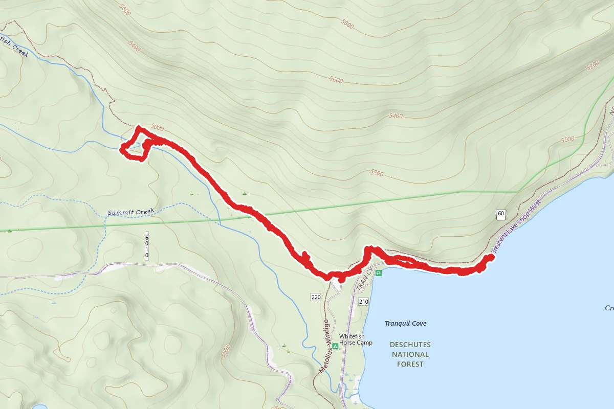 Whitefish Creek Trail #3842