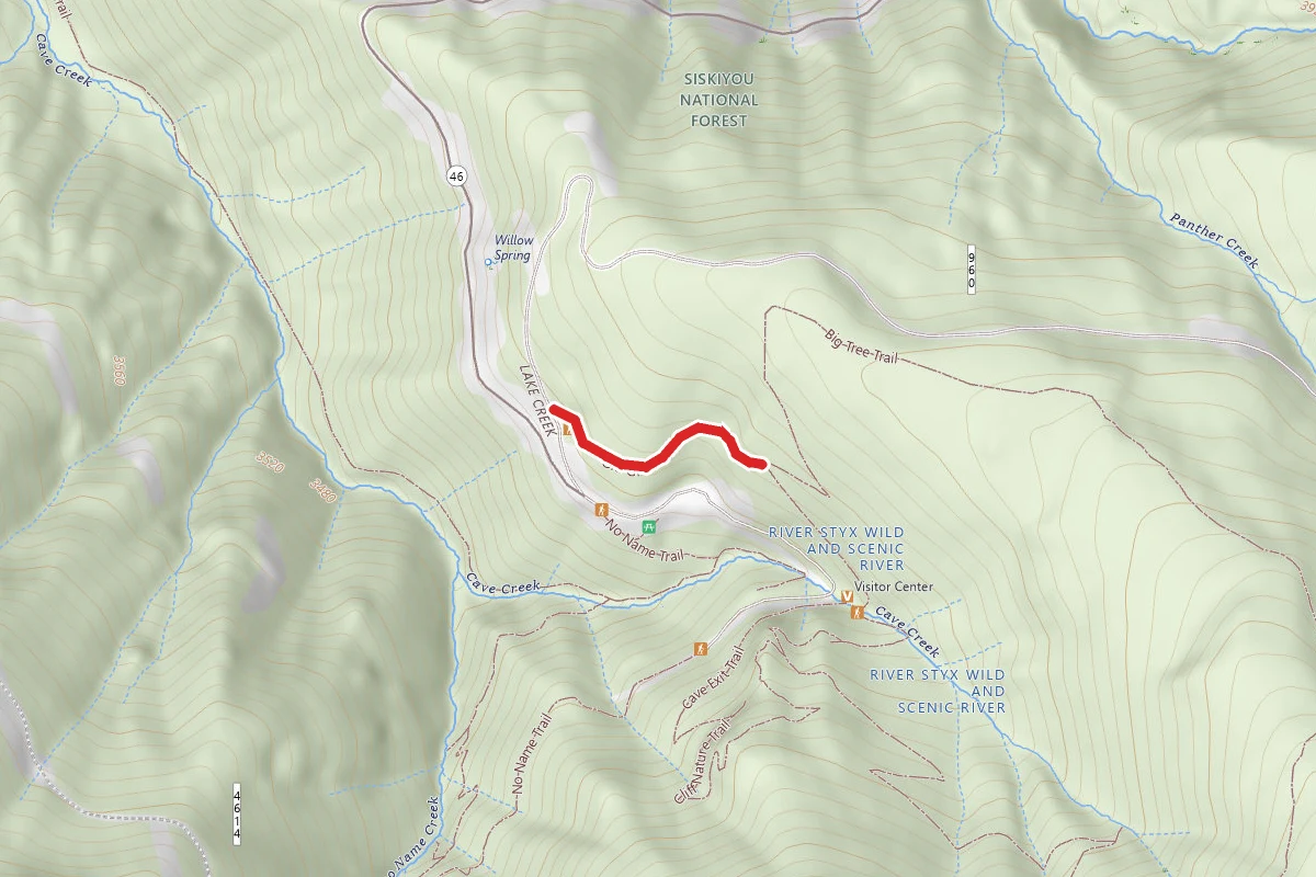 Old Growth Trail