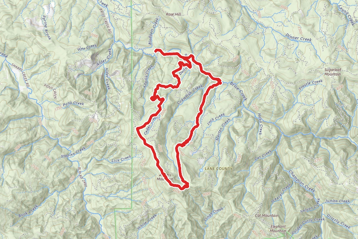 Crawfish Lake and Knott Trail Loop