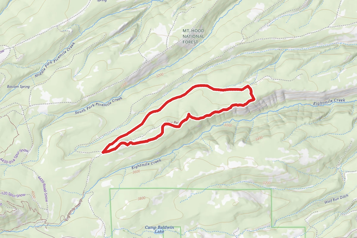 Joe's Point Trail Loop