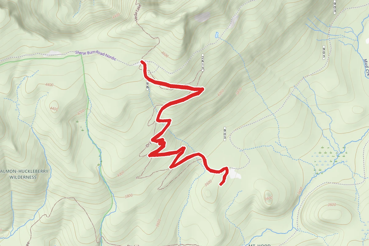 Dry Fir Trail