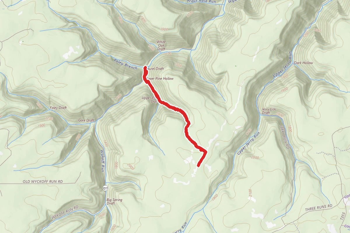 Upper Pine Hollow