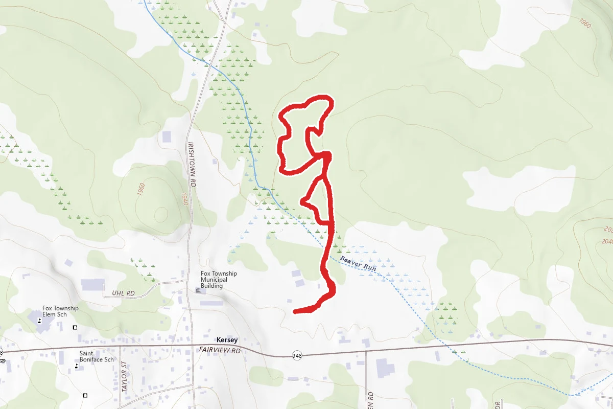 Fox Tail Trail