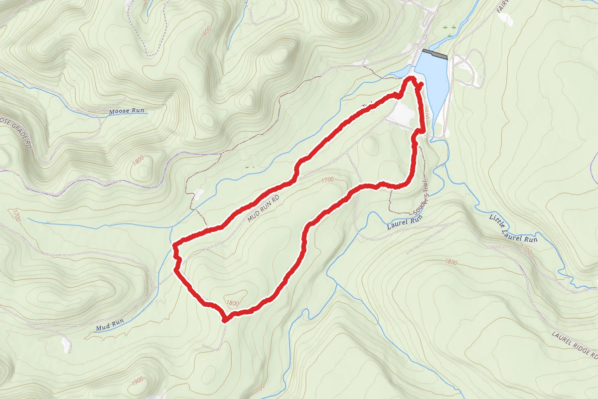 Skunk Trail
