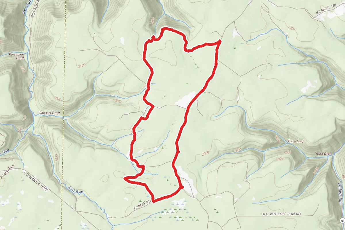 Little Fork Vista