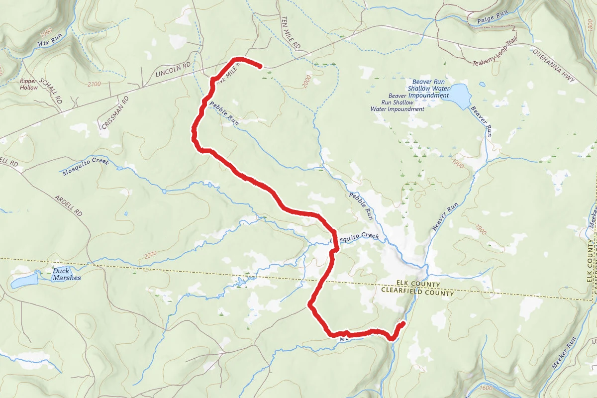 Mosquito Creek Trail South