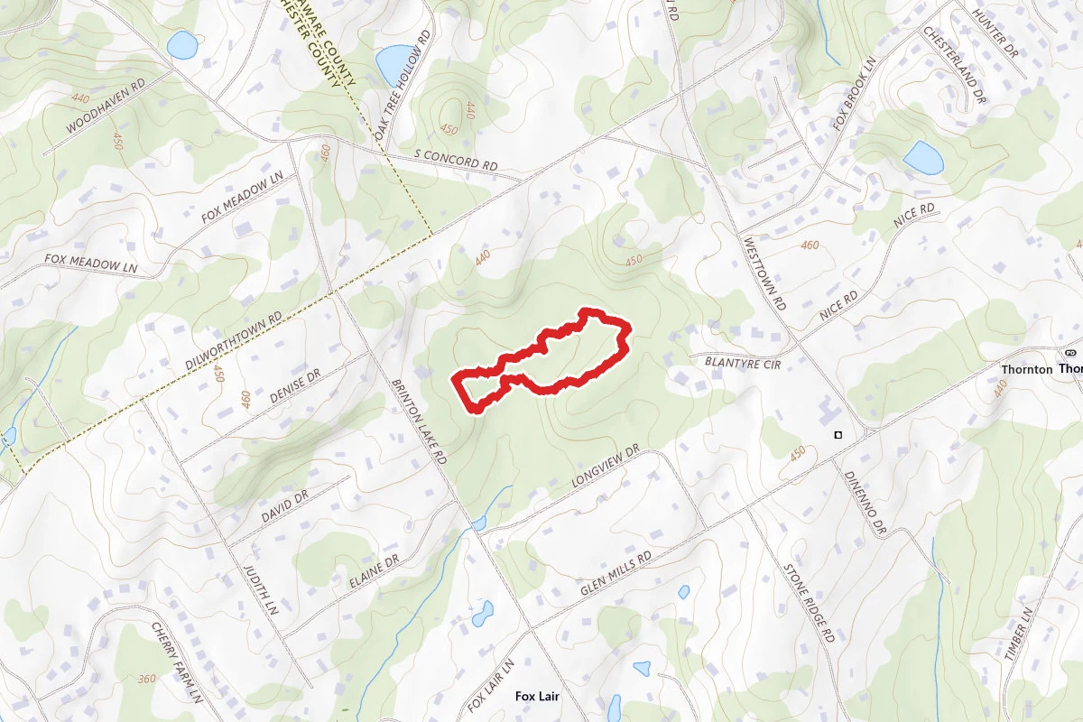 Palmer Trail