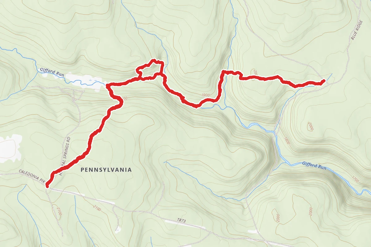 Mineral Spring Area