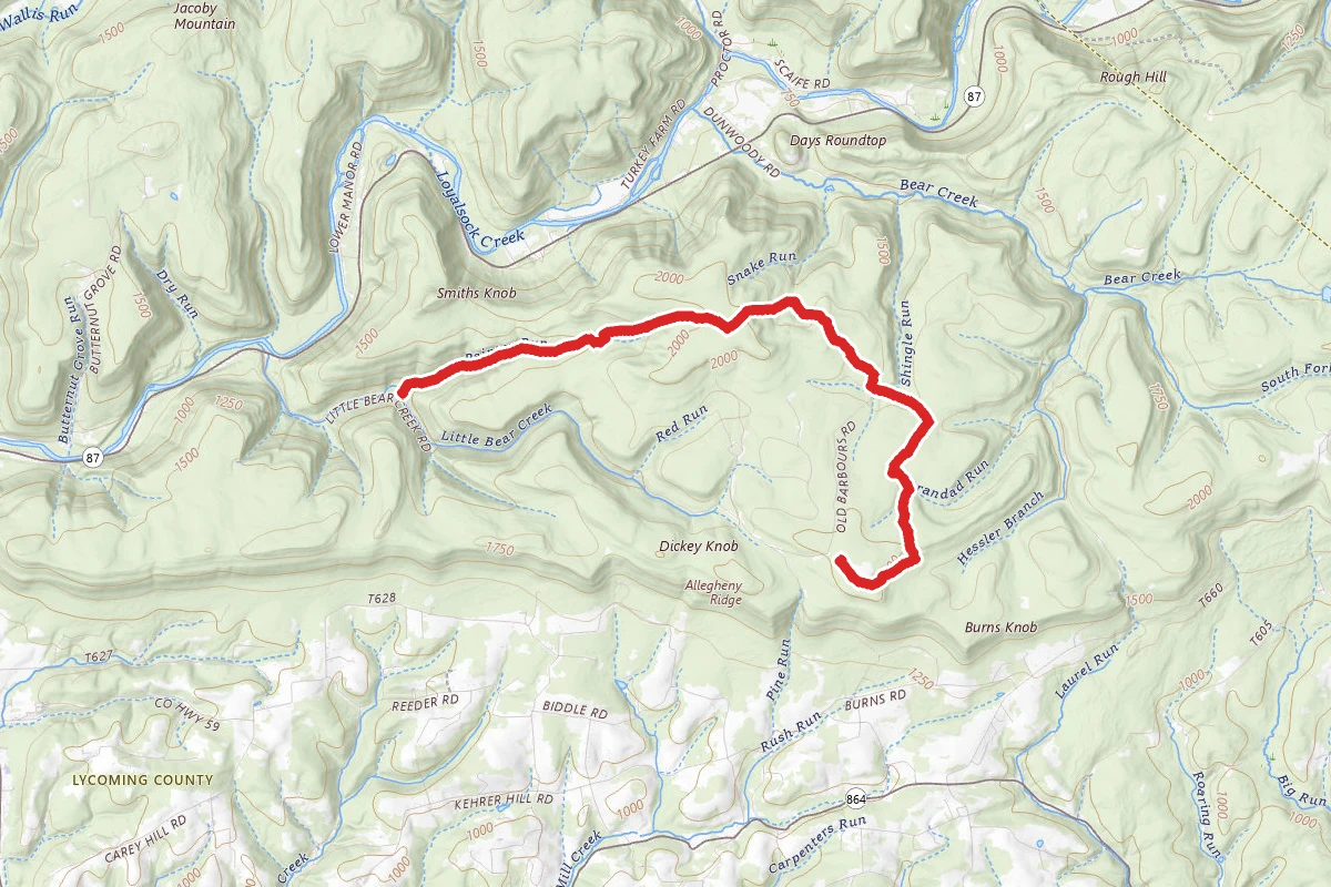 Loyalsock Trail - Painters Run to Blue Trail