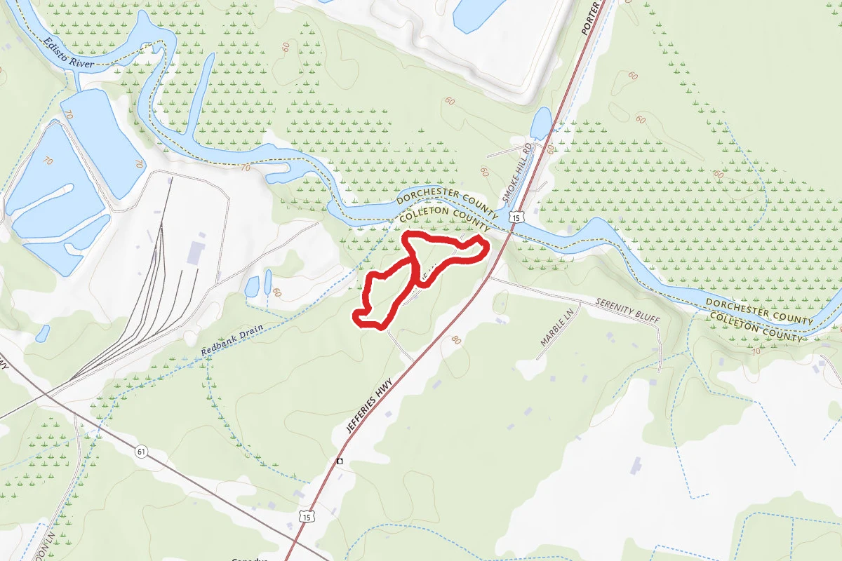 Colleton State Park Nature Trail