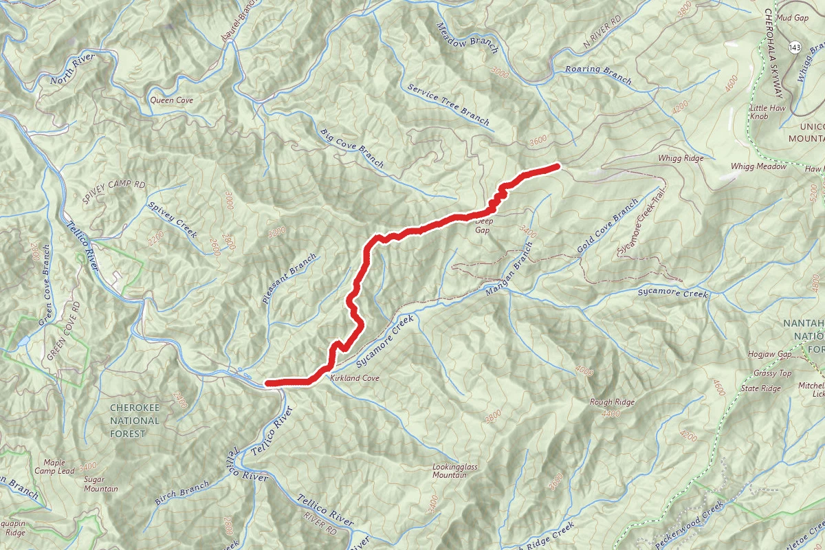 Whigg Ridge Trail