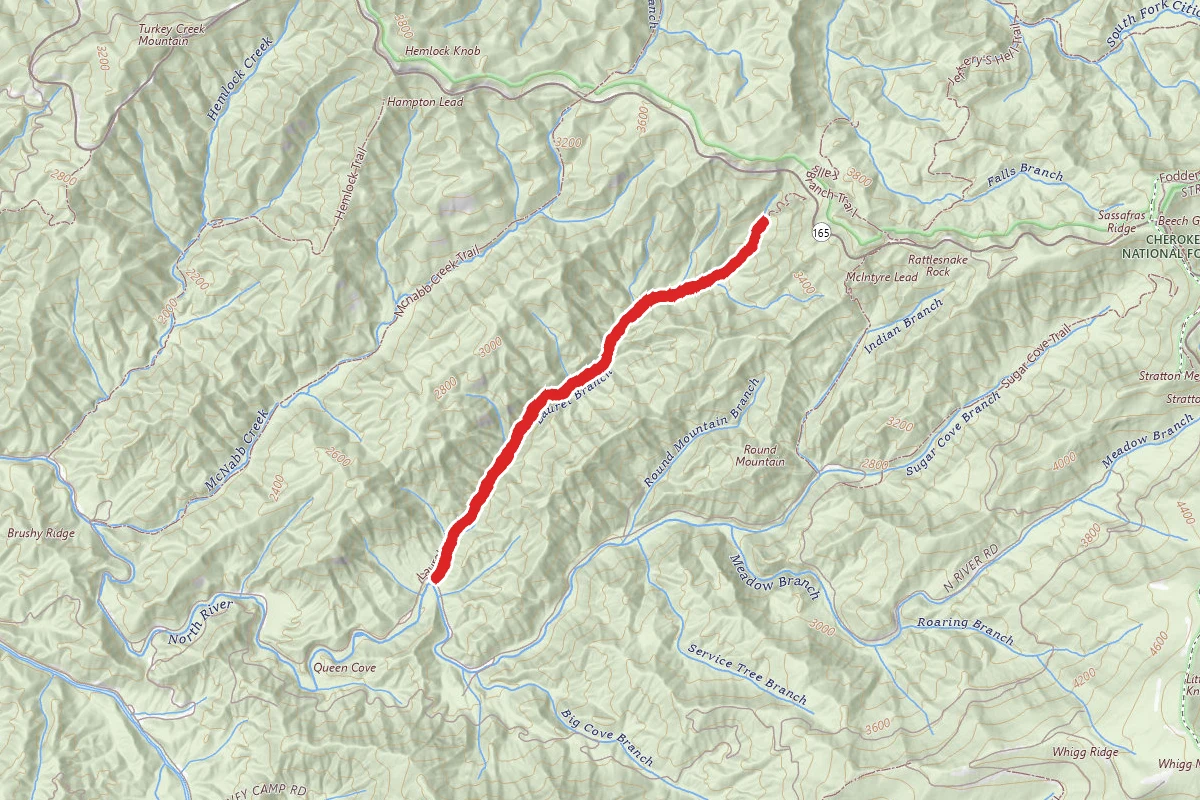 Laurel Branch Trail