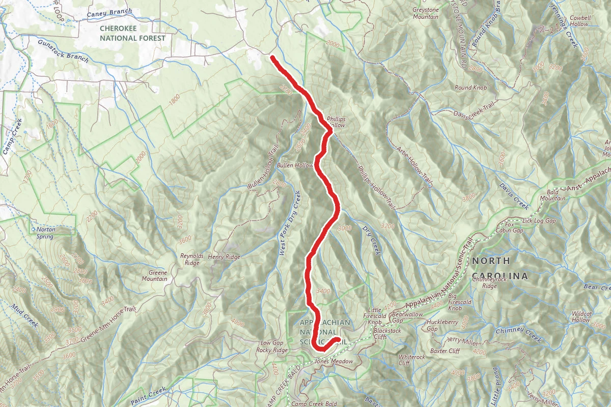 Spruce Thicket Trail