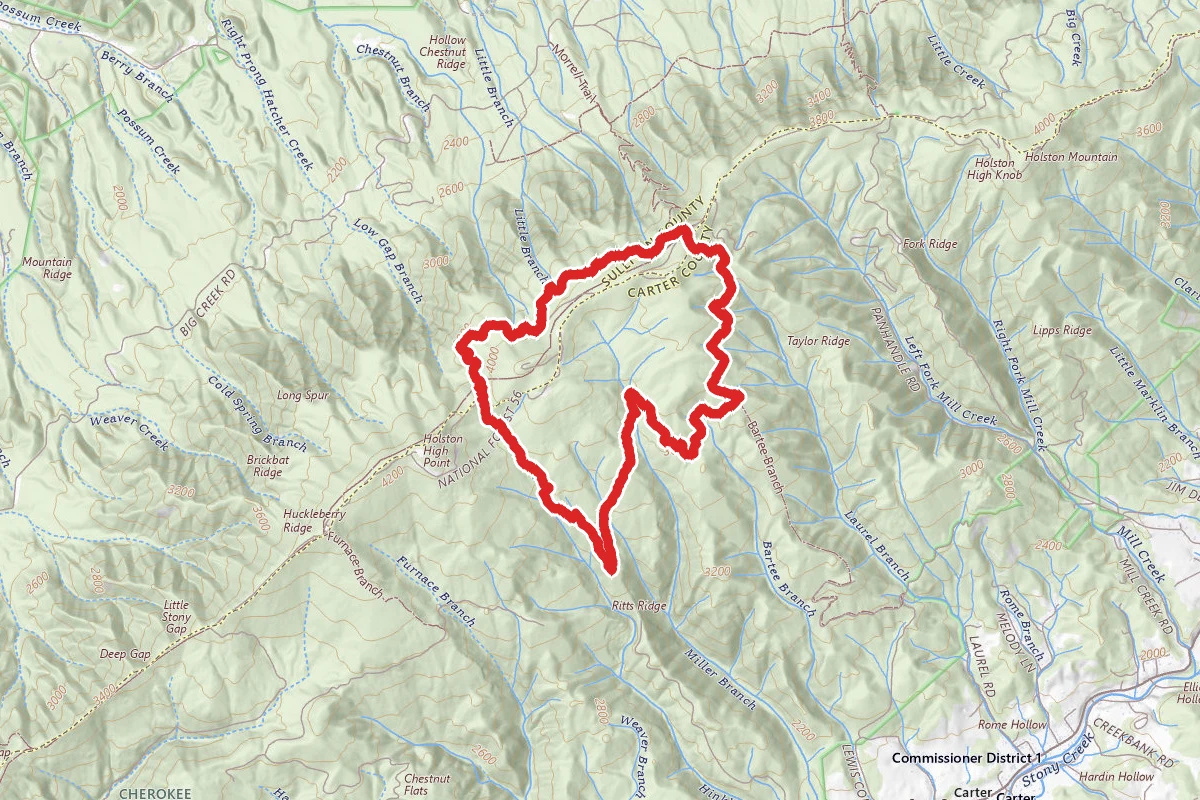 Holston West to Taylor Ridge Loop
