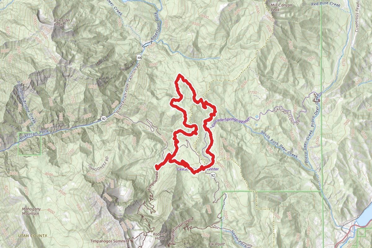 Ridge Trail to 41