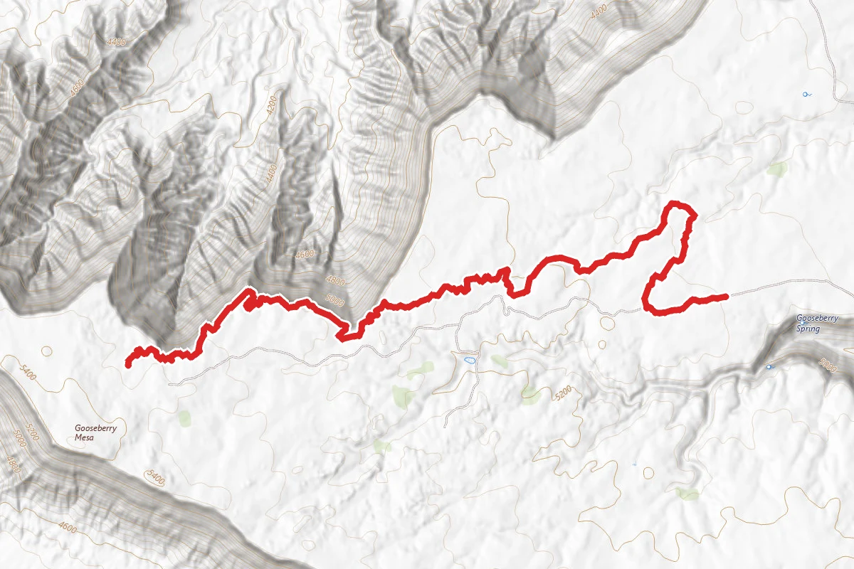 North Rim Trail