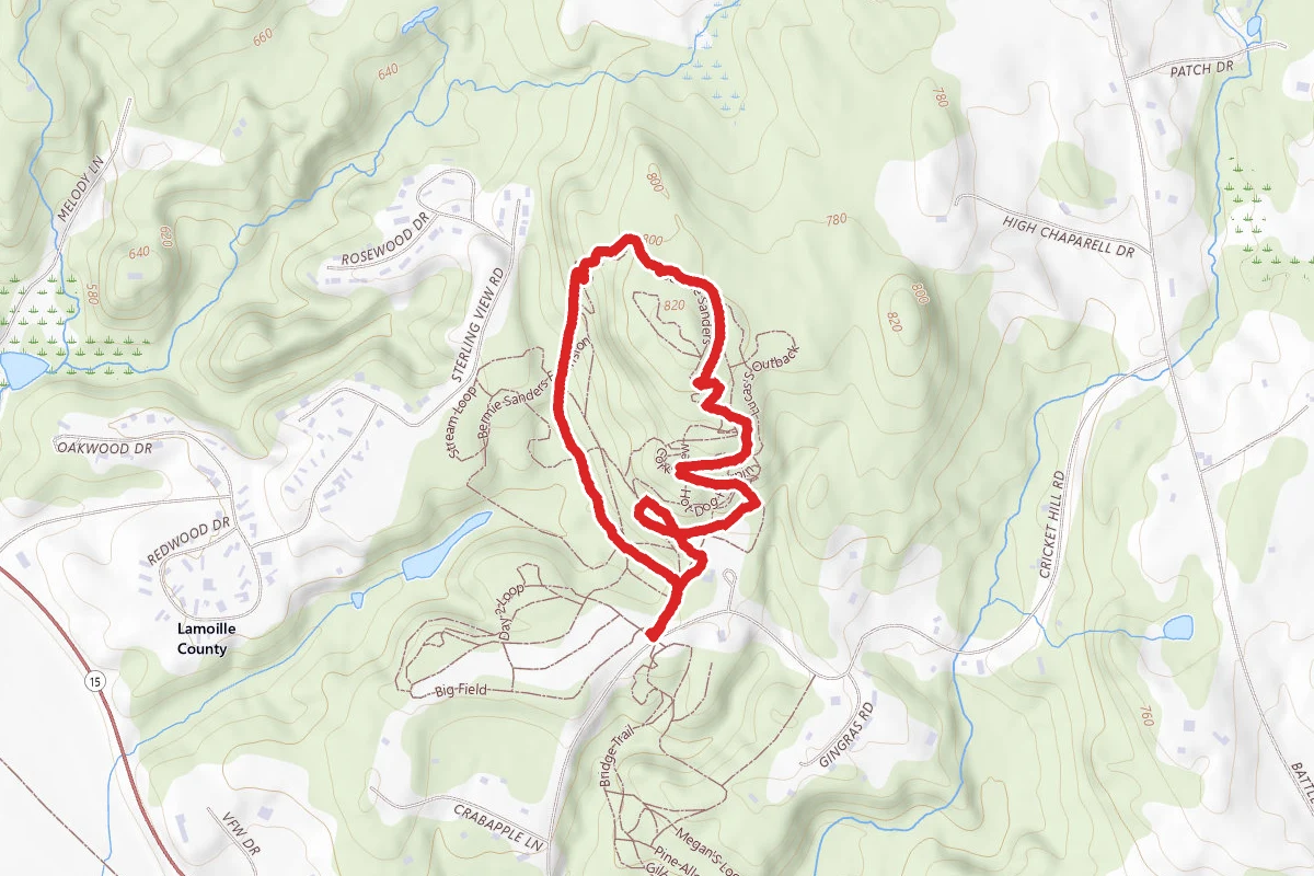 Bermie Sanders Loop