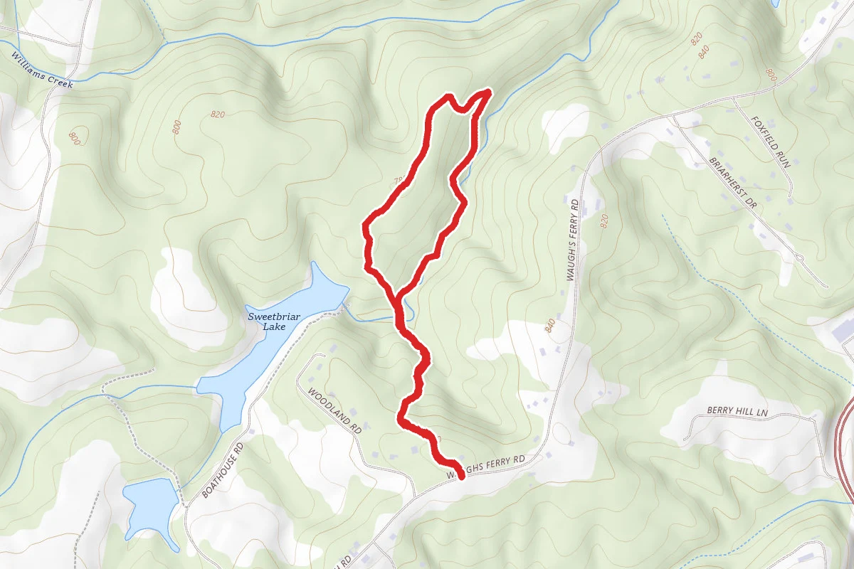 Mabel, Red Dog, and Hunt Trails Loop