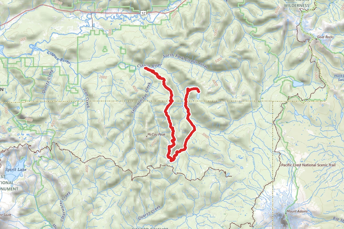 Cispus River to Blue Lake OHV Trail