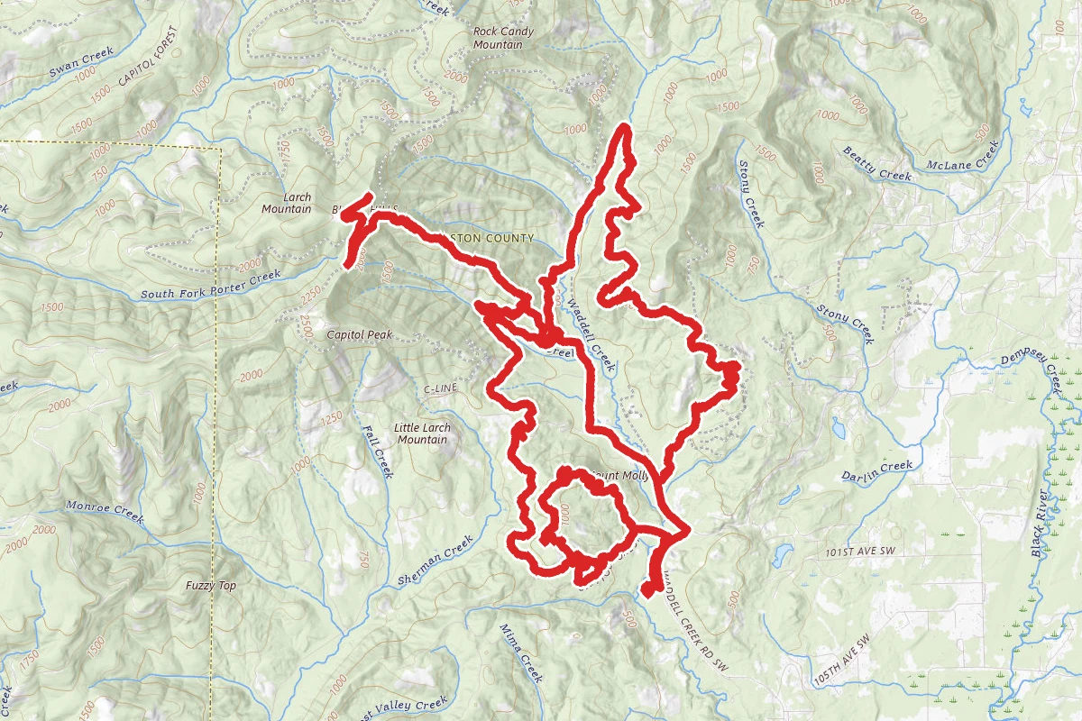 Capital Forest and Peaks OHV Trail