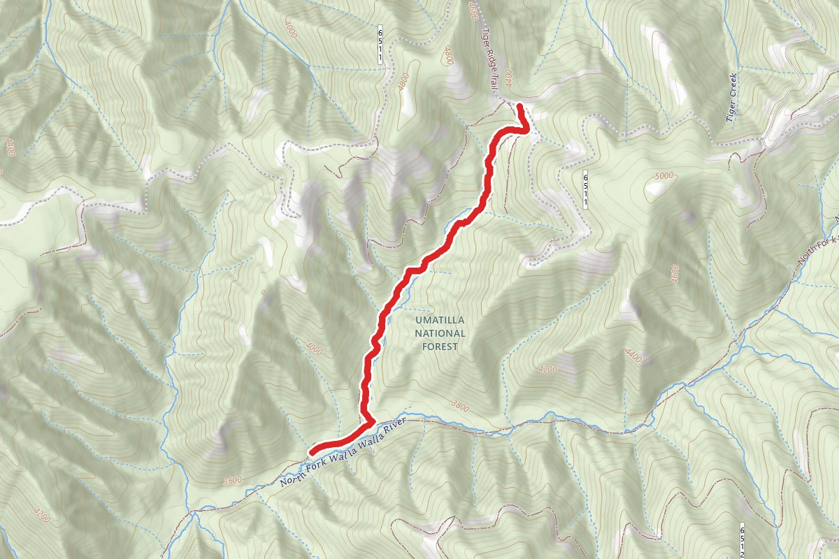 Cow Camp to North Fork Walla Walla River Trail