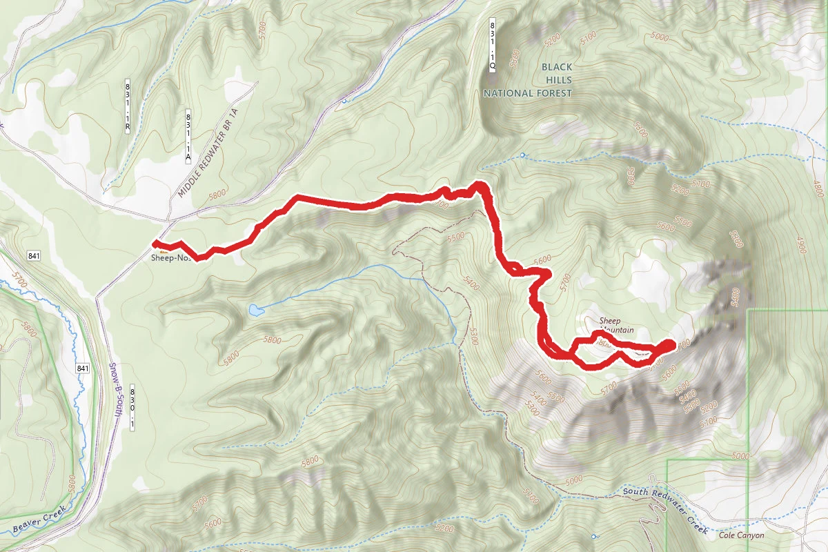 Sheep Nose Mountain