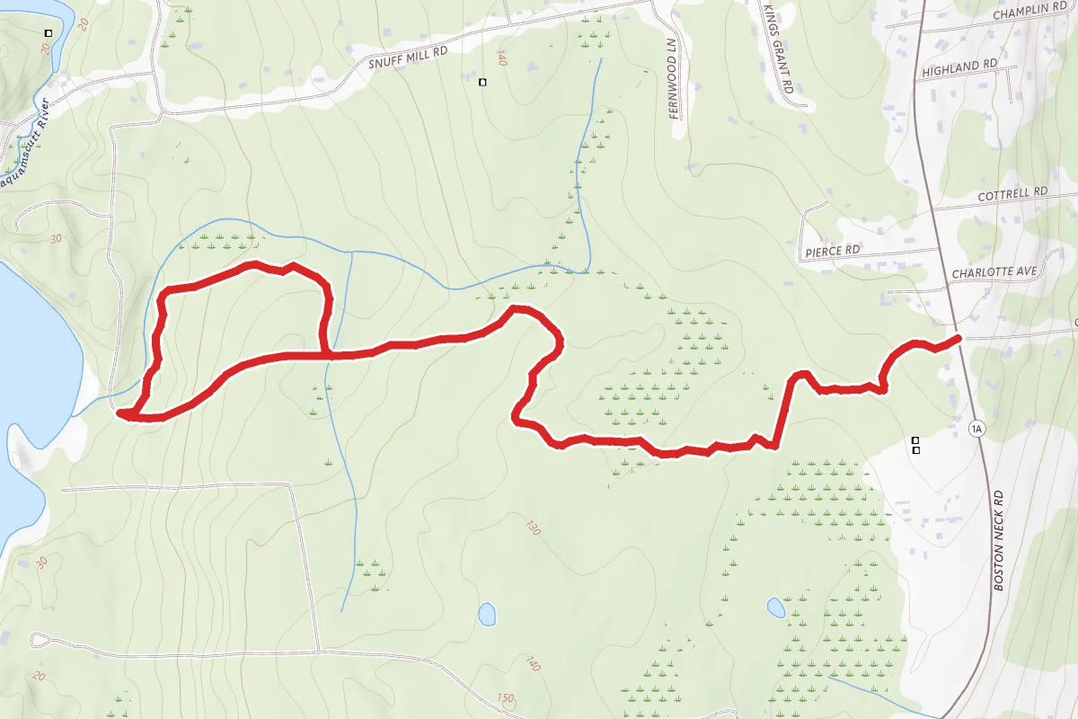 King Benson Preserve Trail