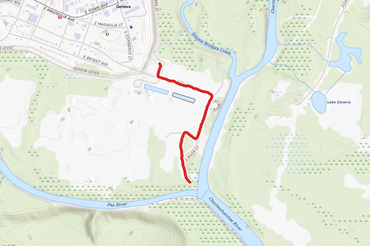 The Junction Trail