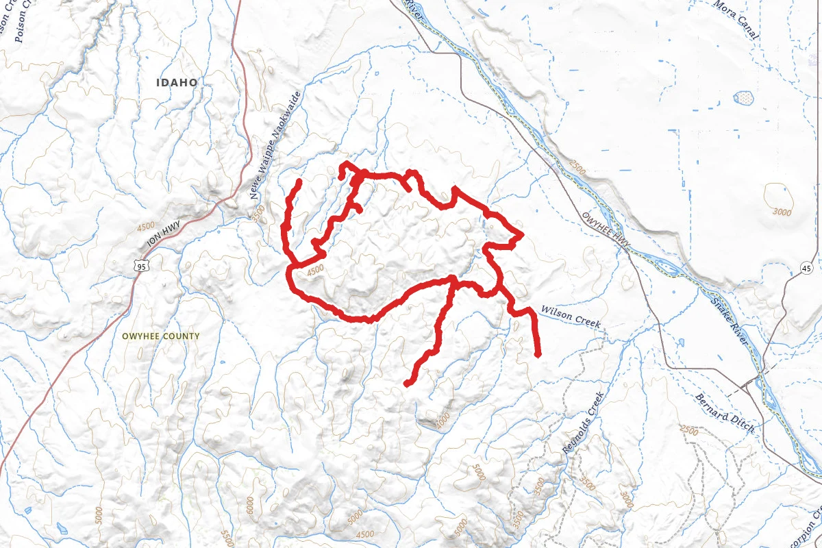 Wilson Creek and Coyote Grade OHV Loop