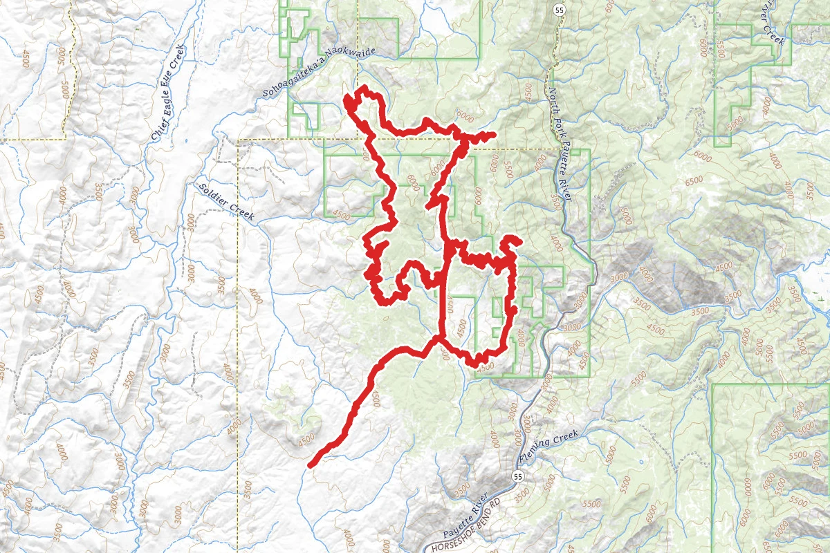 Dry Buck Mountain OHV Trail route map