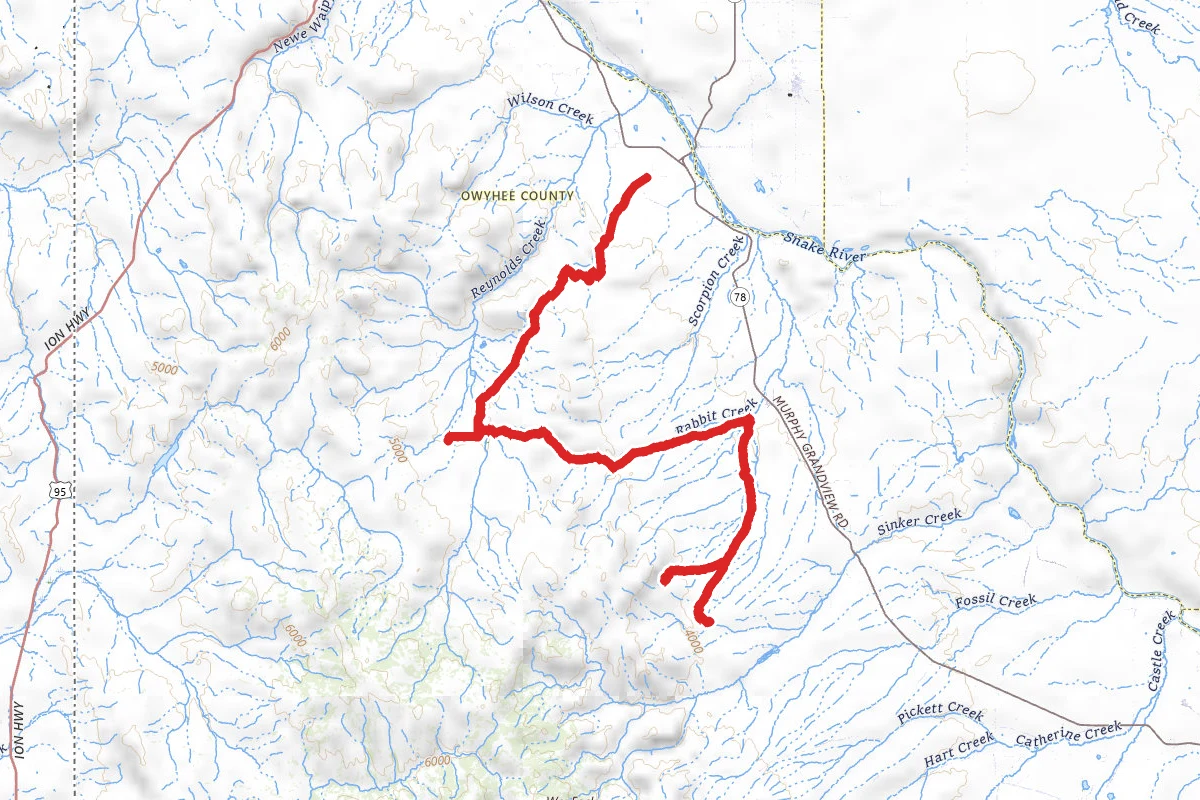 Diamond Basin and Reynolds Cemetery OHV Trail