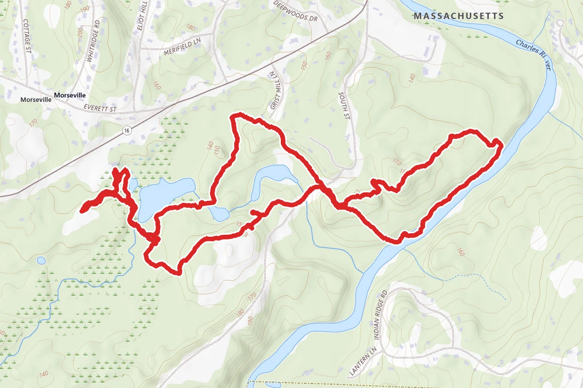 Broadmoor Wildlife Sanctuary Trails