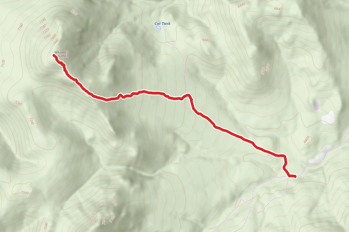 Whitetail Mountain