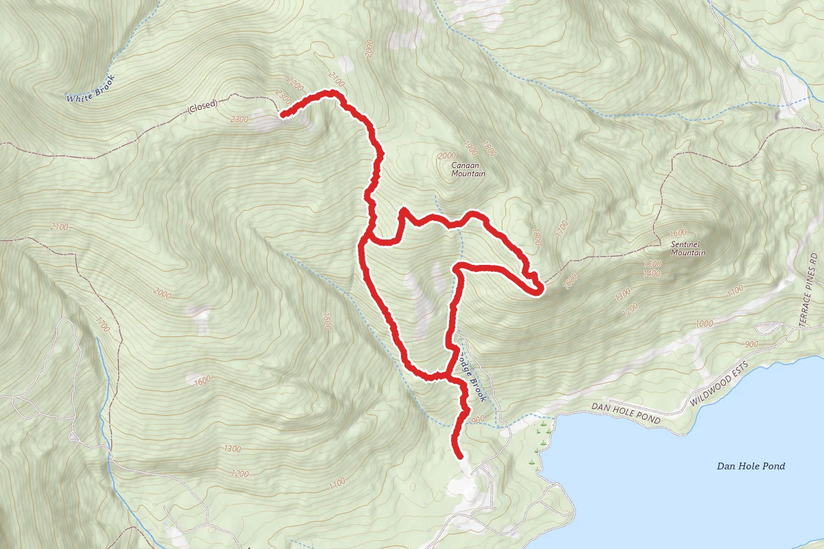 Mount Flagg via Dave Green, Canaan Mountain and Gorilla Trail