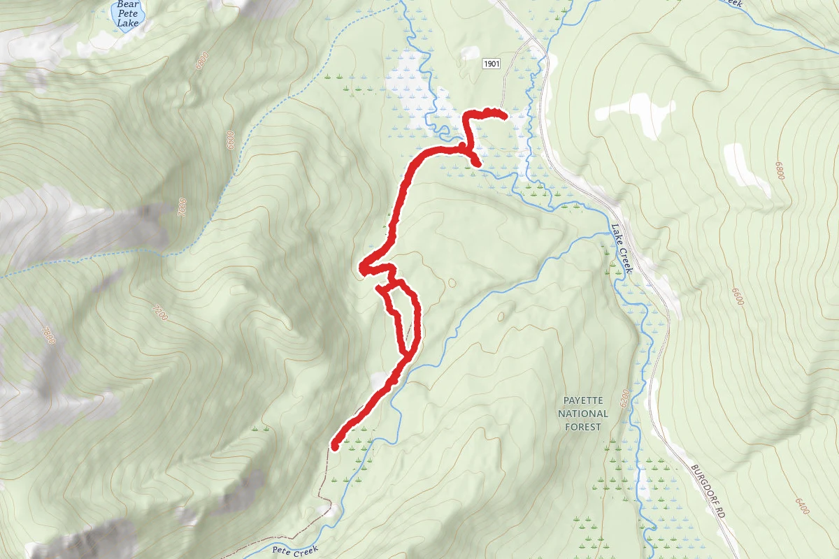 Bear Pete Creek Trail