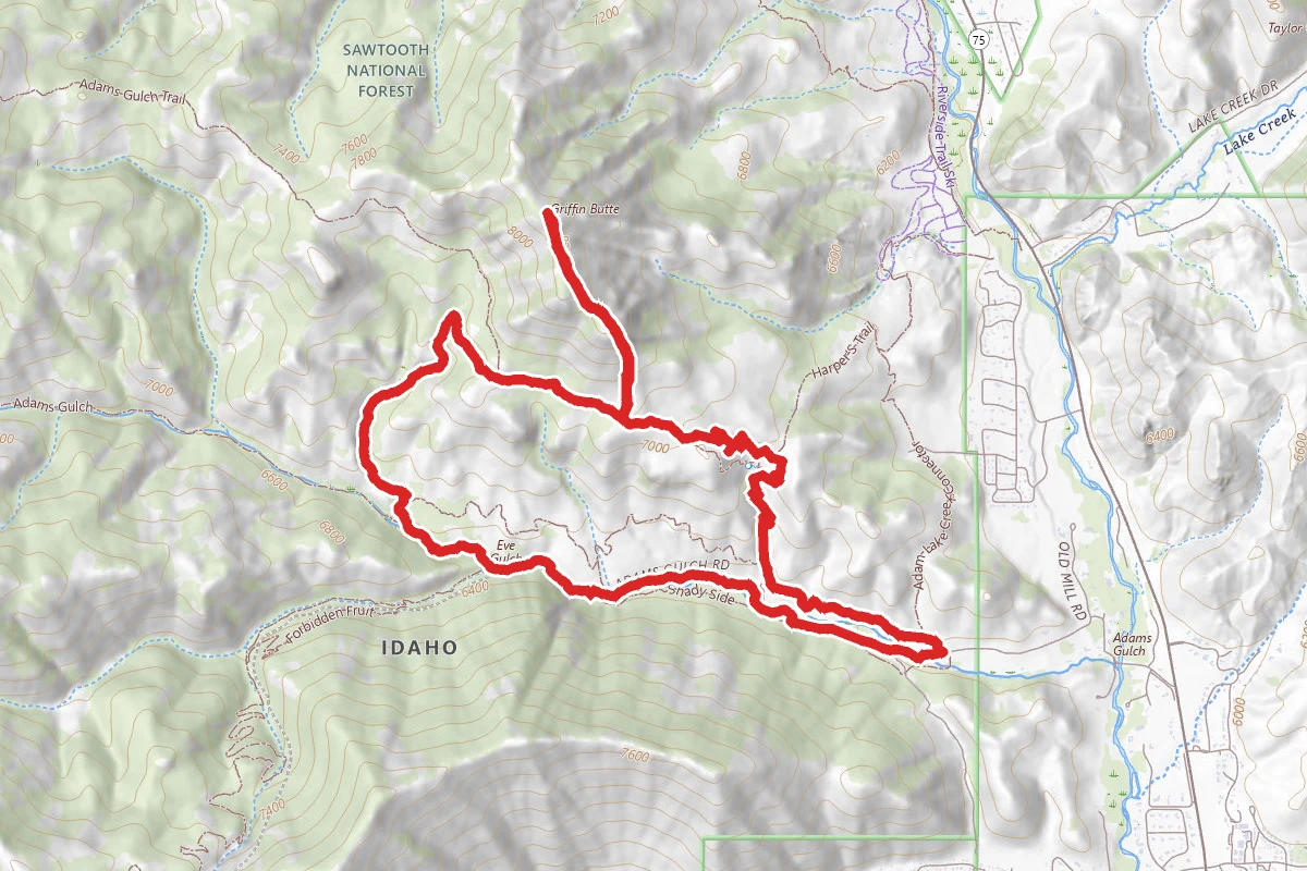 Griffin Butte