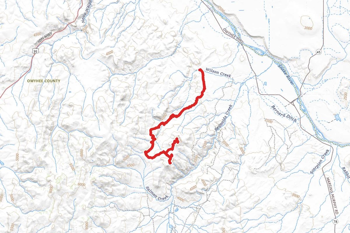 Frog Rock and Wilson Peak OHV Trail
