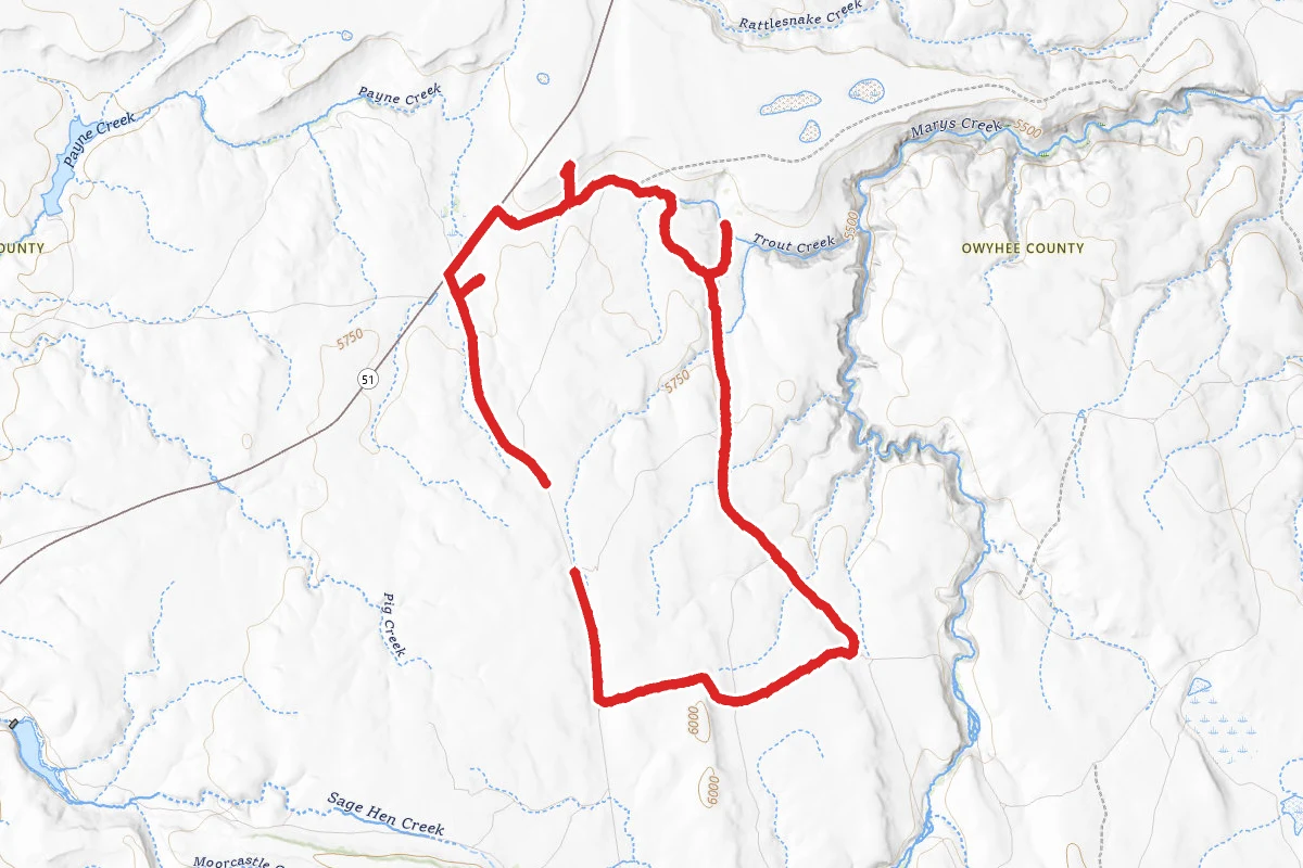Trout Creek OHV Loop