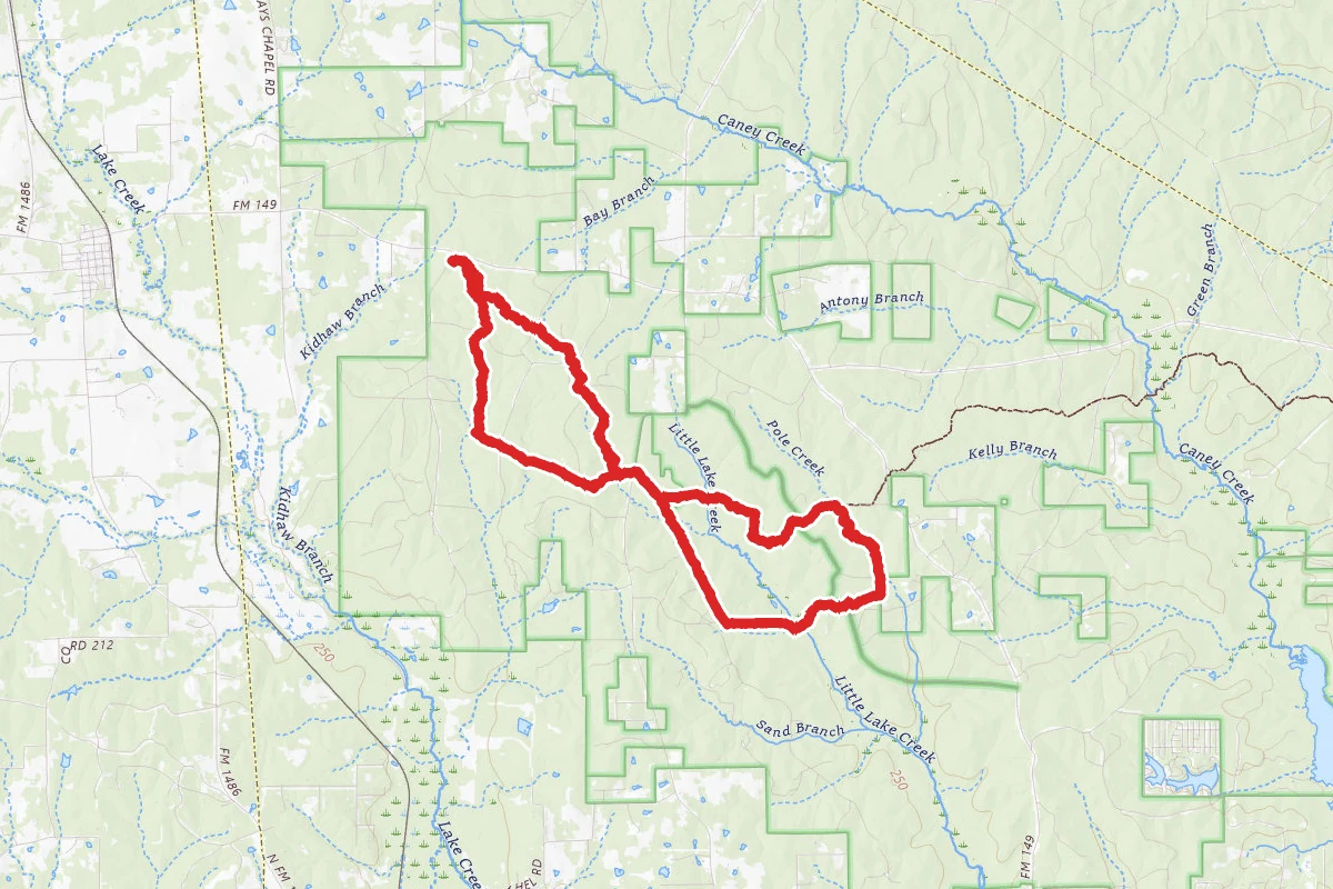 Lone Star Hiking Trail and Little Lake Creek Trail