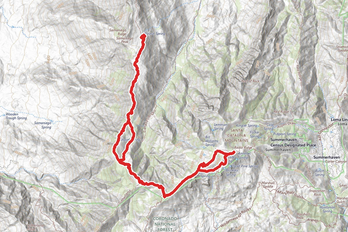 Walnut Springs via Mount Lemmon