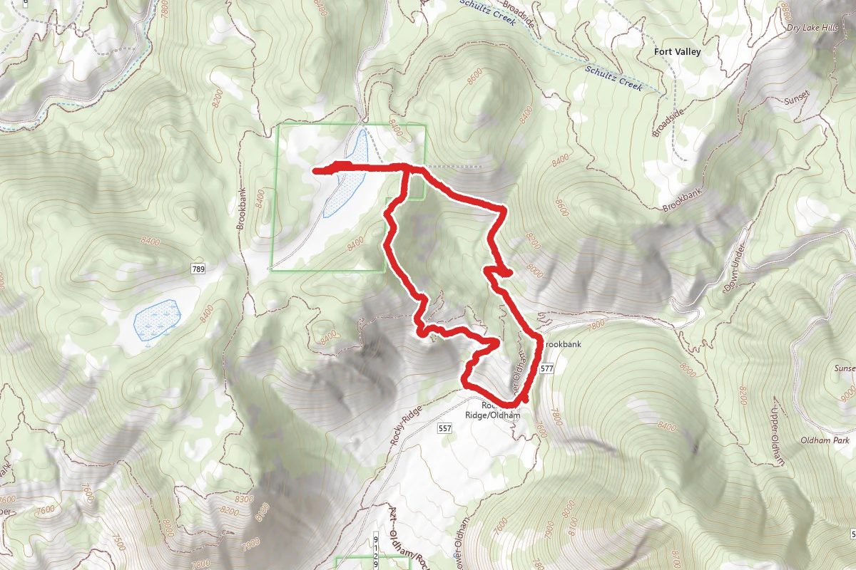 Dry Lakes Hills via Lower Brookbank Trail and Pickle Trail Loop