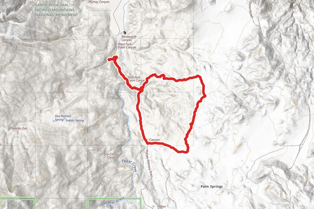 Palm Canyon and Vandeventer Trail Loop