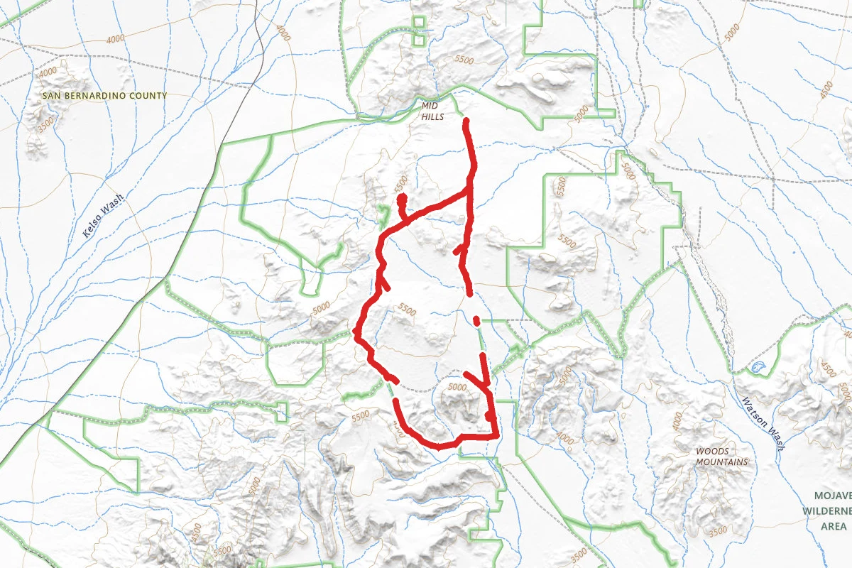 Mojave National Preserve Wild Horse and Black Canyon Road Bike Ride