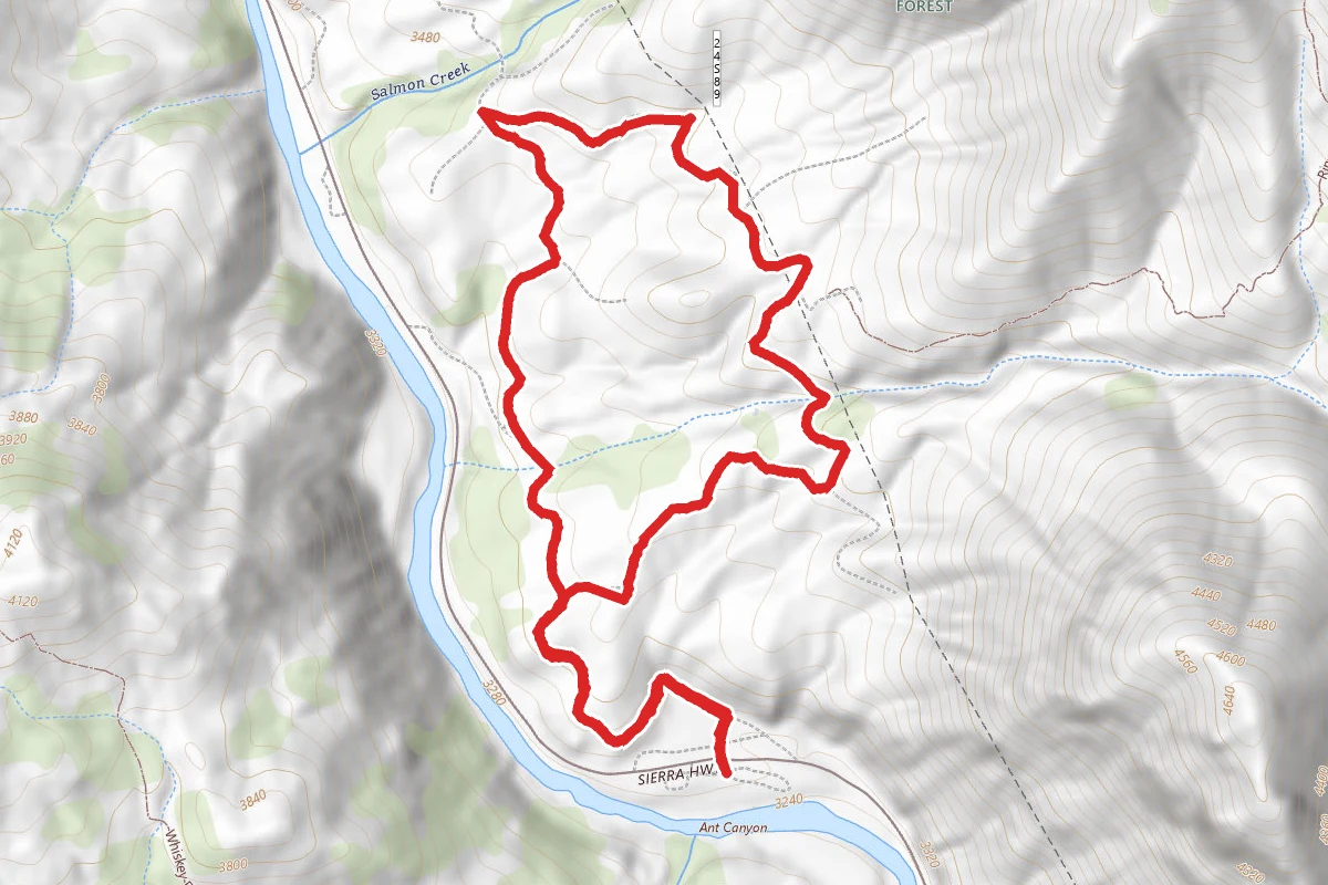 Lower Rincon Trail Loop