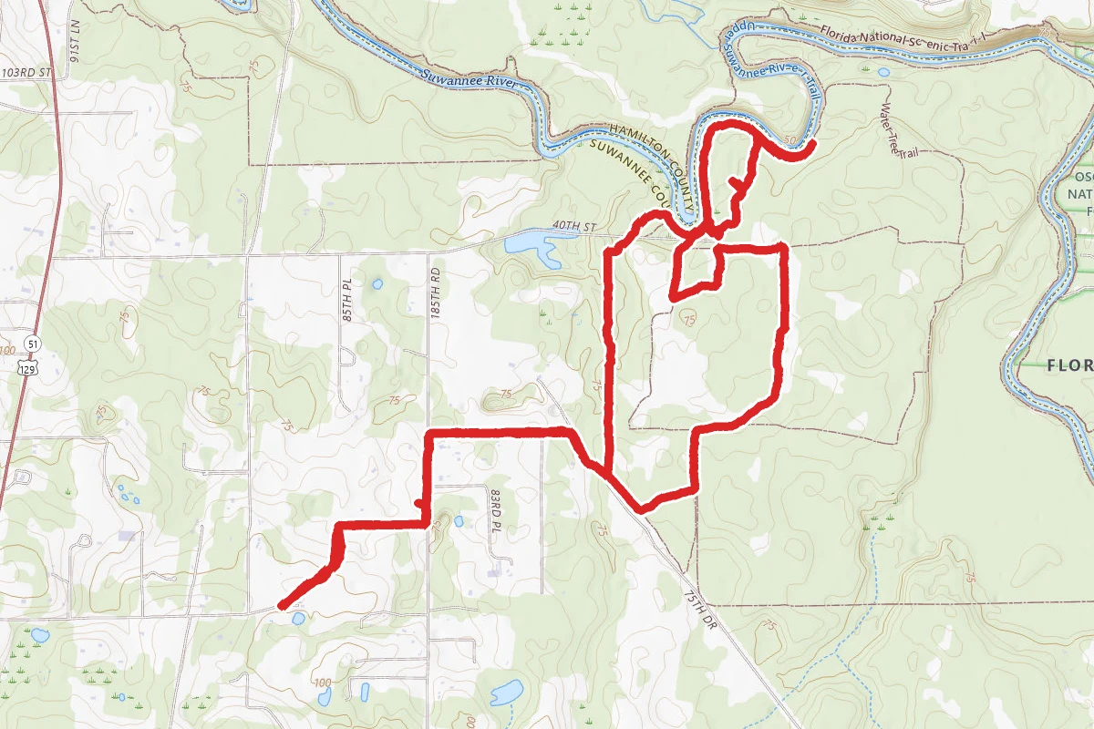 Matair Live Oak Loop