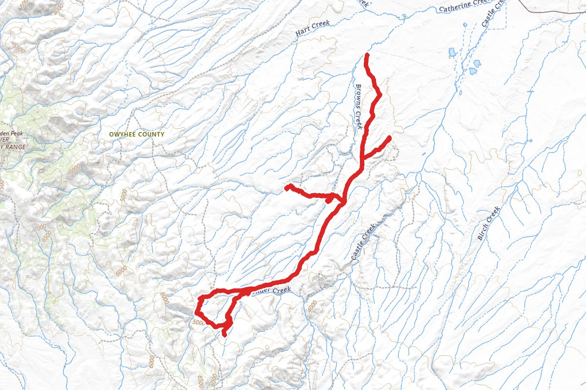 Brown's Creek OHV Trail