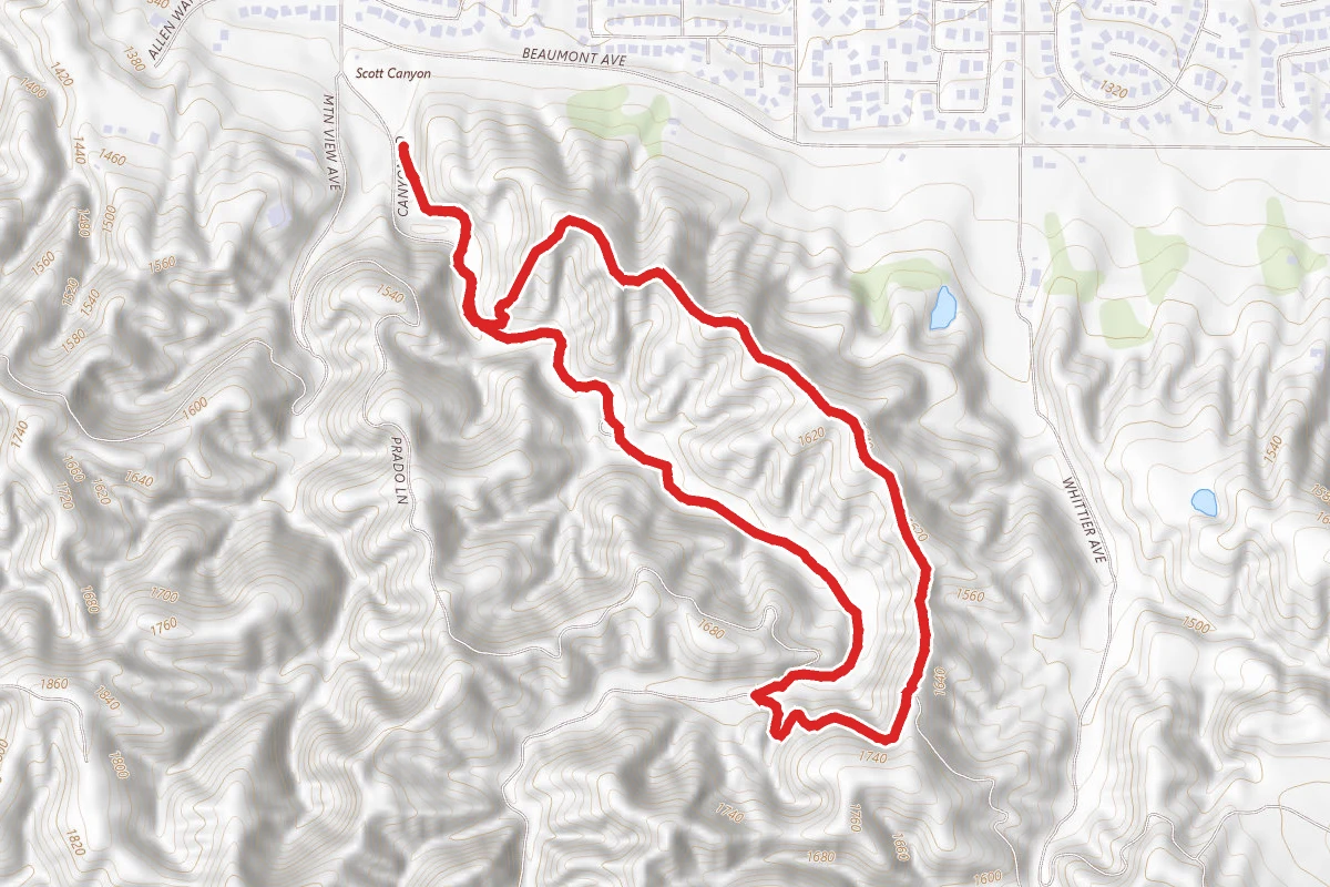 Beaumont Ridge Trail Loop
