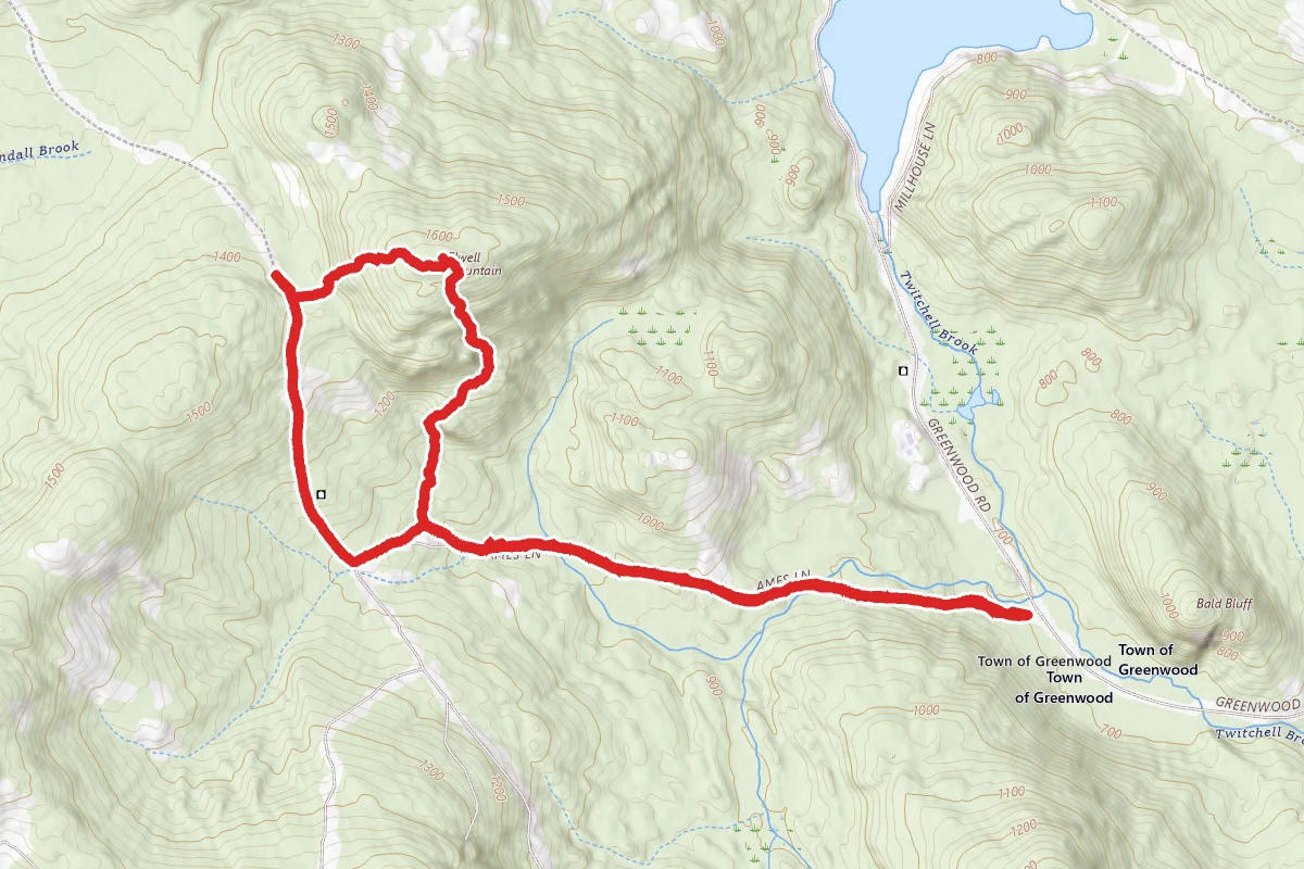 Elwell Mountain Bushwhack